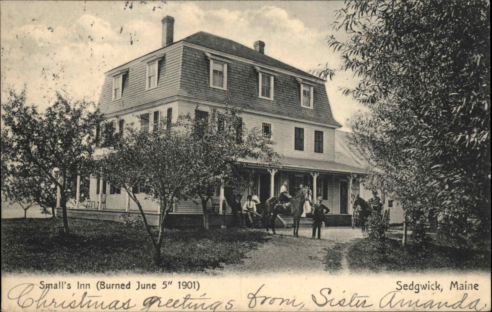 Sedgwick Maine ME Hotel Postcard