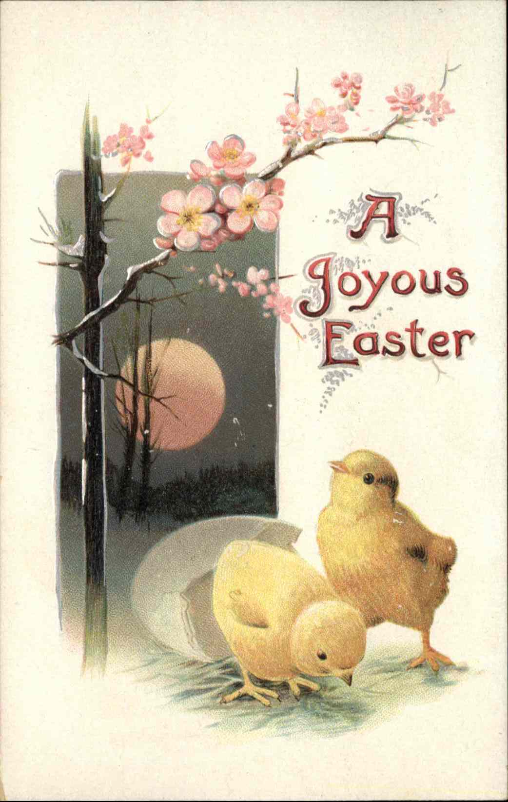 Easter Chick Moon Eggshell Flower Embossed Postcard