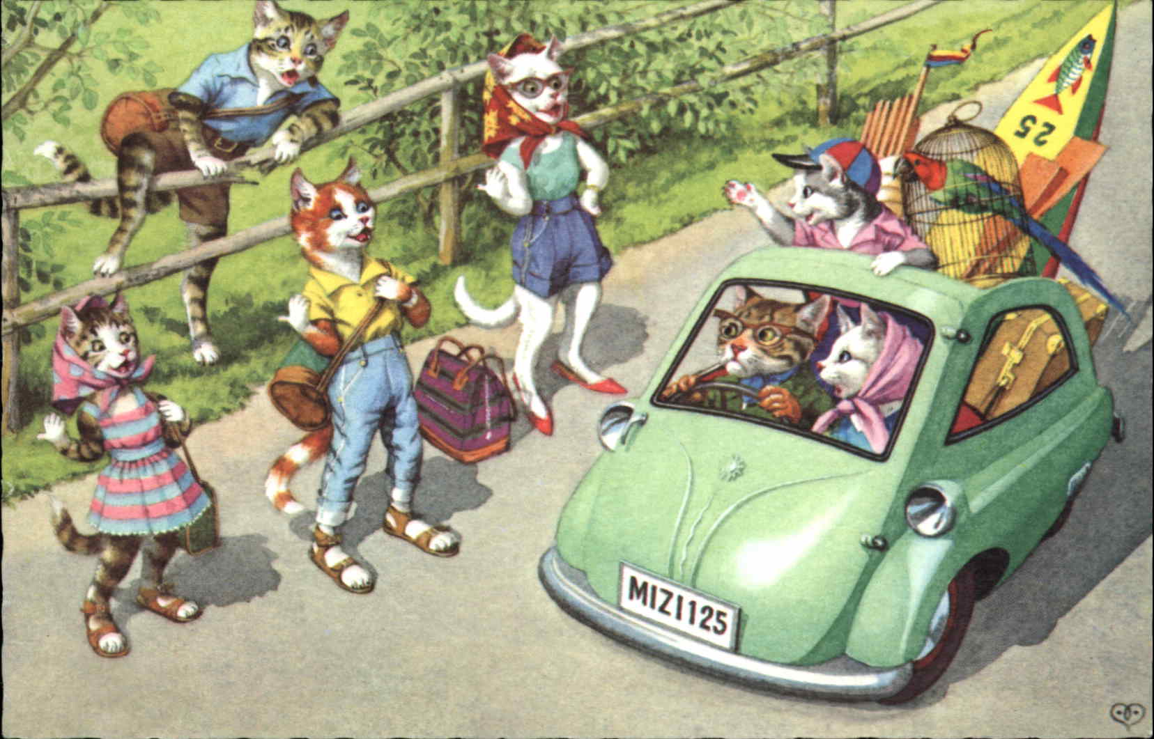 Dressed Animals Cats Car Surf Board Postcard