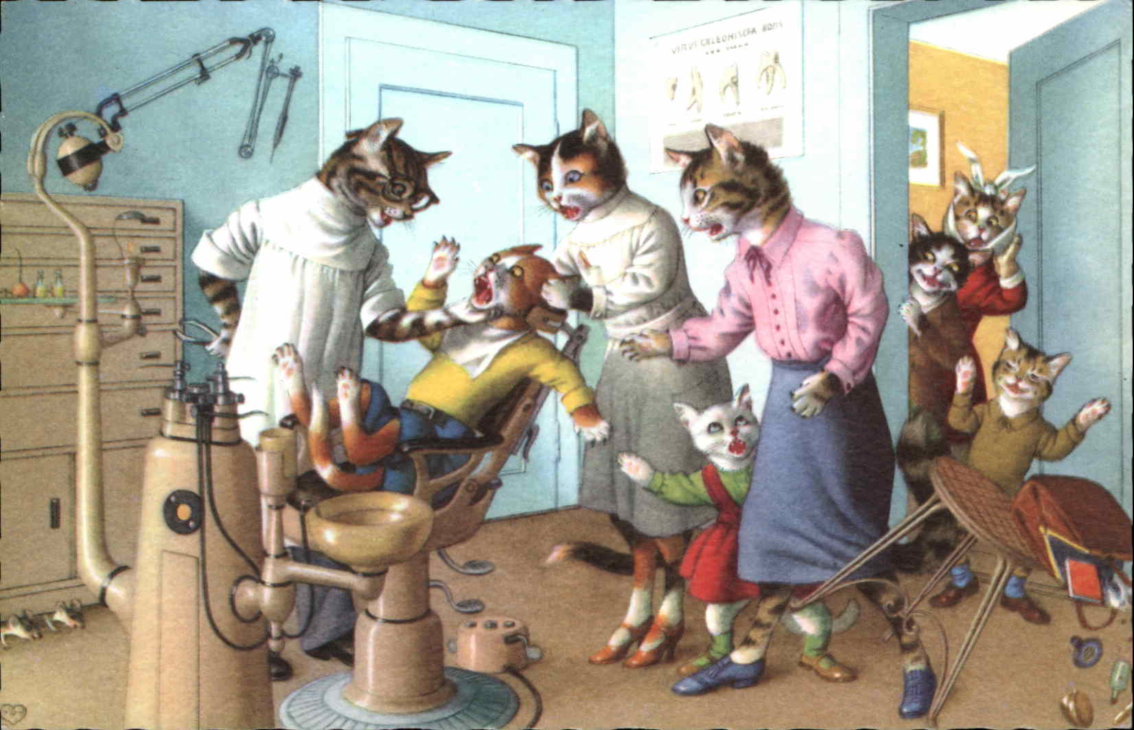 Dressed Animals Cats Dentist Postcard