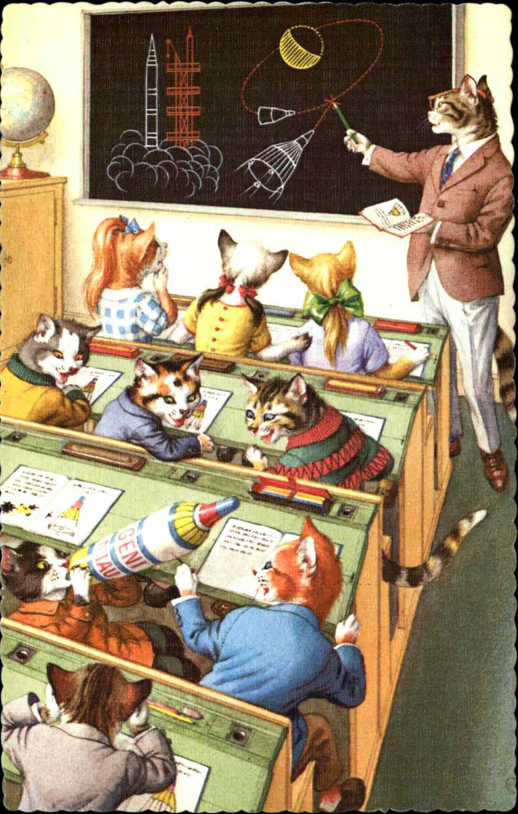 Dressed Animals Cats Classroom Postcard