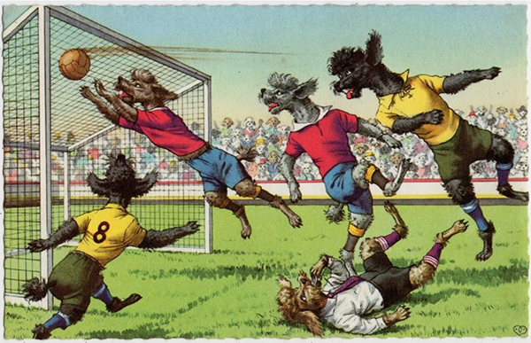 Mainzer-dogs-playing-soccer