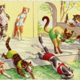 Mainzer-cats-swim-meet